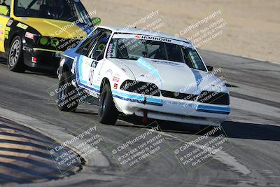 media/Oct-11-2025-Lucky Dog Racing (Sat) [[f5b53147c4]]/5-Fourth Stint/1-Turn 10/